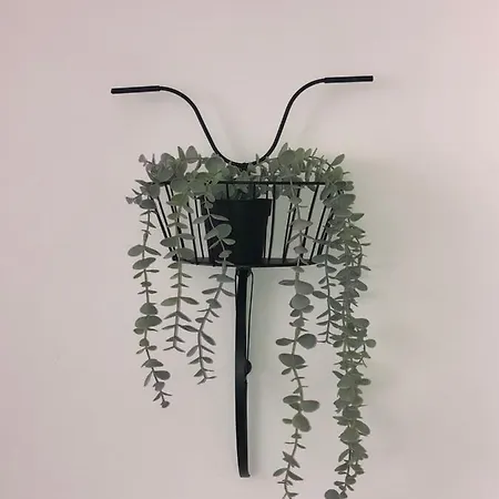 Nonsolomare Wifi Aria Condizionata Ascensore * サンレモ