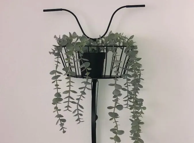 Nonsolomare Wifi Aria Condizionata Parcheggio * Sanremo